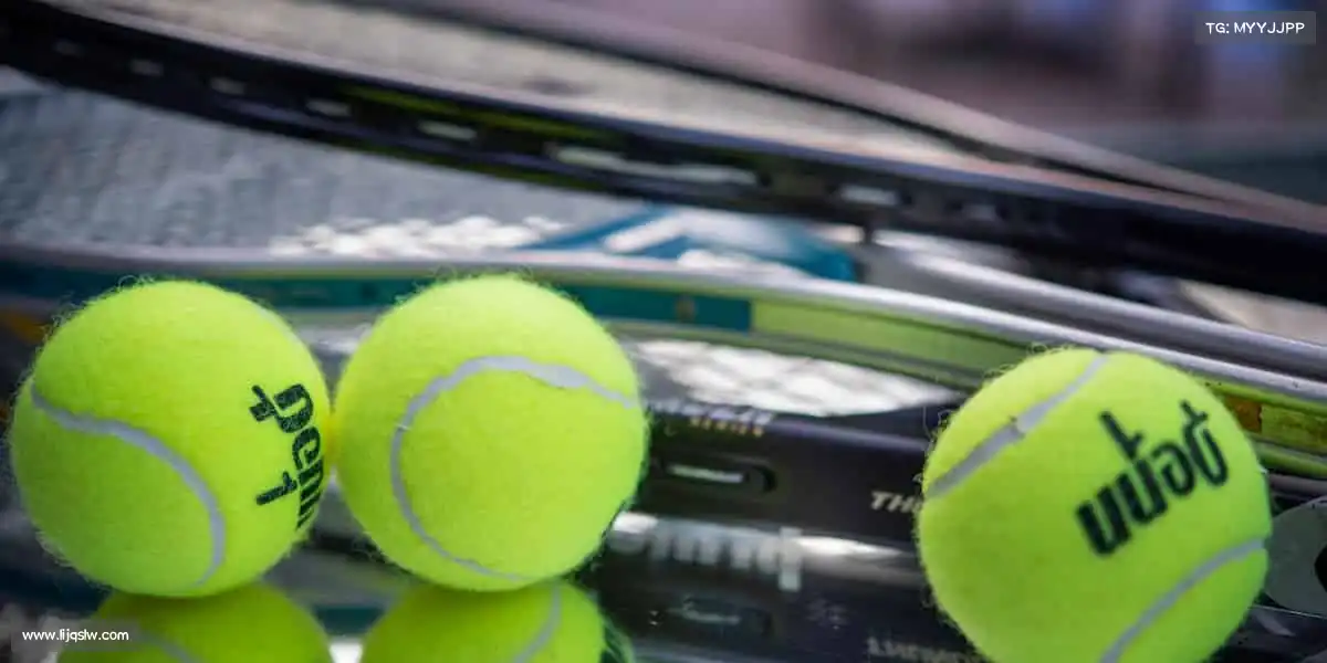 IM电竞🥋一招一式，皆是对自我的超越 —— 武道精神，在此绽放！